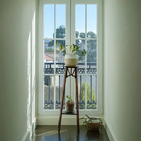 Solar Do Sabao - Your Gathering Place Villa Relva (Azores)